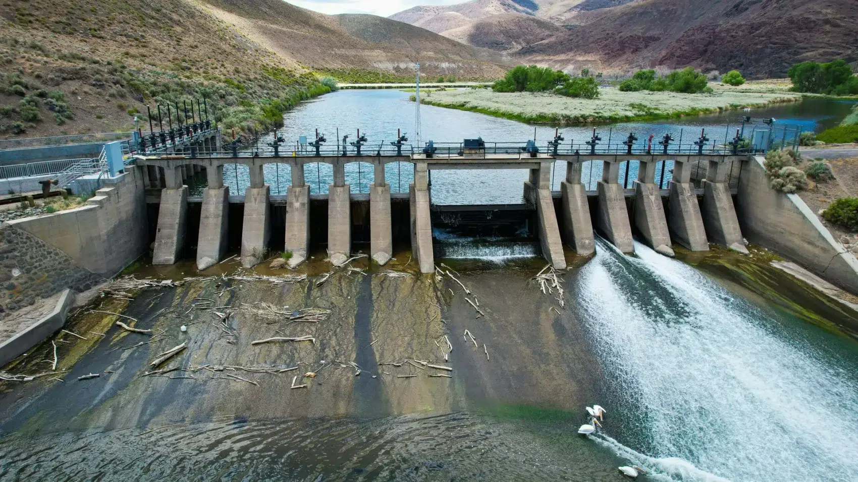 disadvantages of hydel (Hydropower) energy